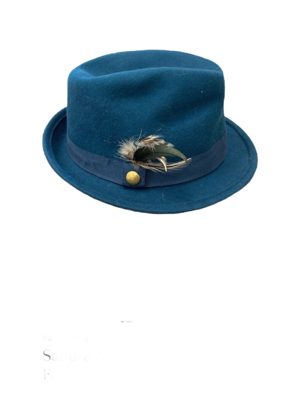 Sandra Angelozzi NWT Wool Fedora in Teal with Feather Detailing One Size